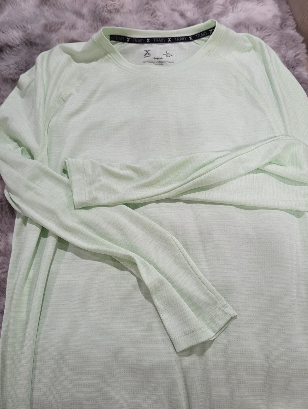 Men's Long Sleeve Crewneck Shirt in Pale Mint